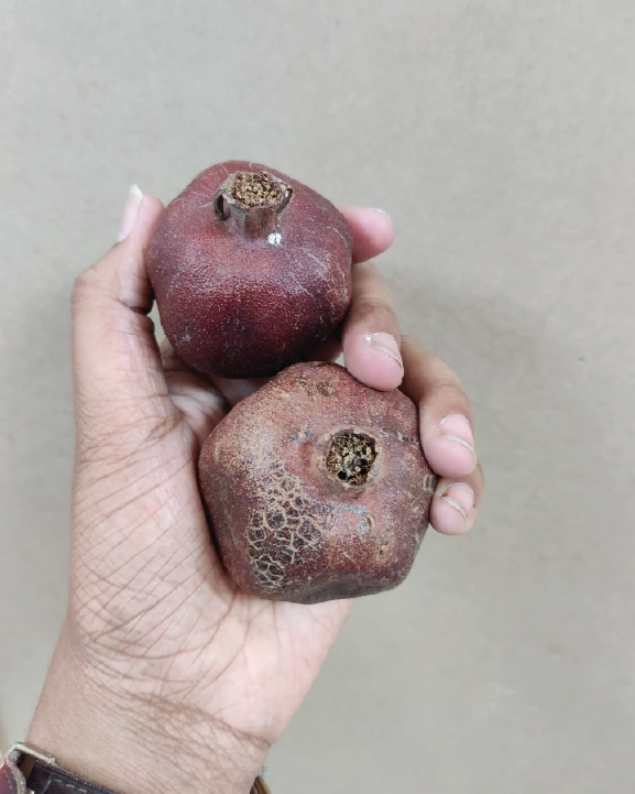 Rati &mdash; campaign image 8