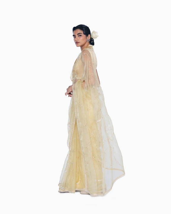 Sarmast &mdash; process image 6